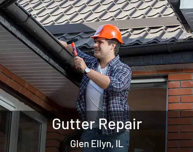  Gutter Repair Glen Ellyn, IL