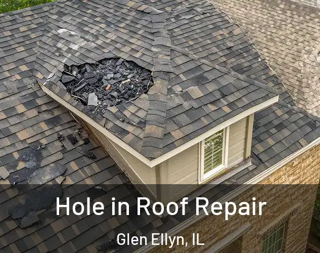  Hole in Roof Repair Glen Ellyn, IL