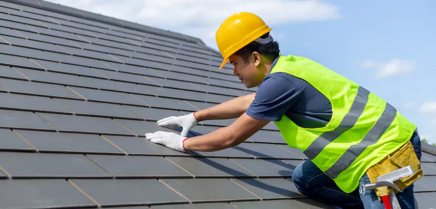 Professional Hail Damage Roof Repair Services in Glen Ellyn, IL