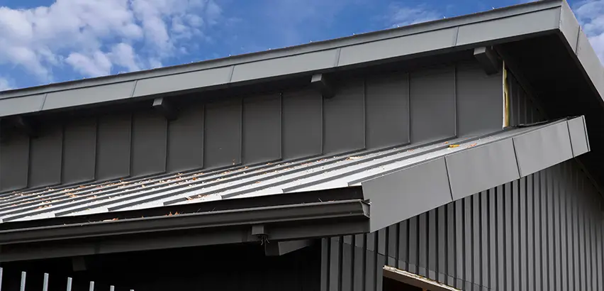 Professional Roof Eaves Installation Services in Glen Ellyn, IL