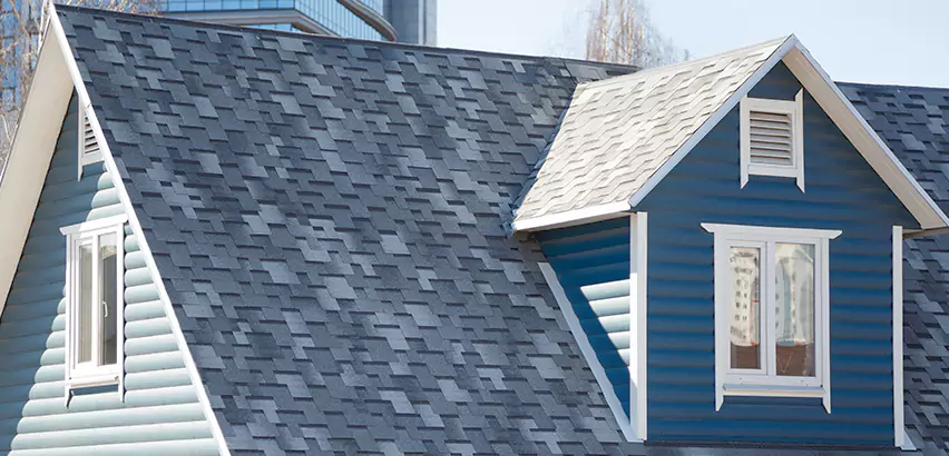 Shingle Roof Maintenance in Glen Ellyn