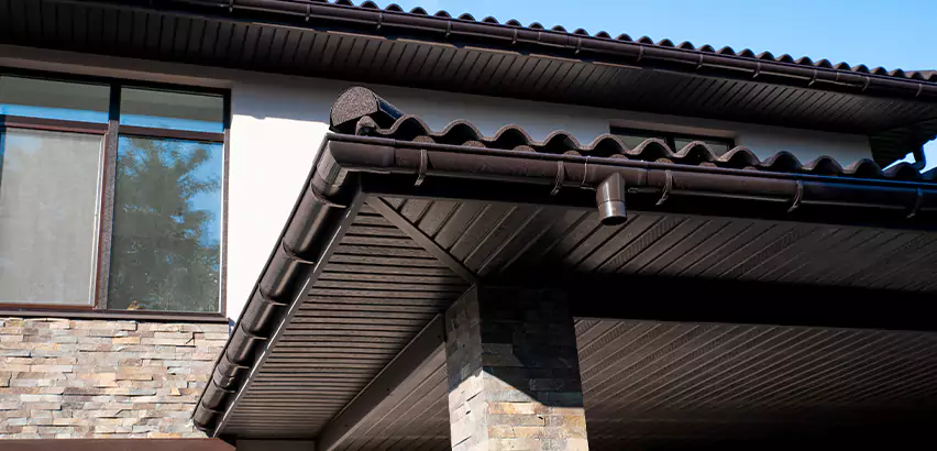 Soffit Damage Repair in Glen Ellyn