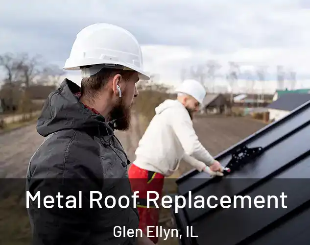  Metal Roof Replacement Glen Ellyn, IL