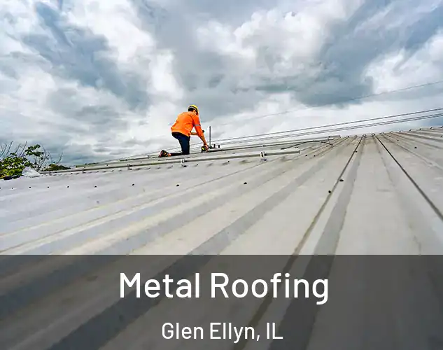  Metal Roofing Glen Ellyn, IL