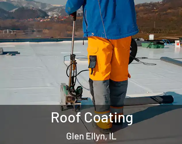  Roof Coating Glen Ellyn, IL