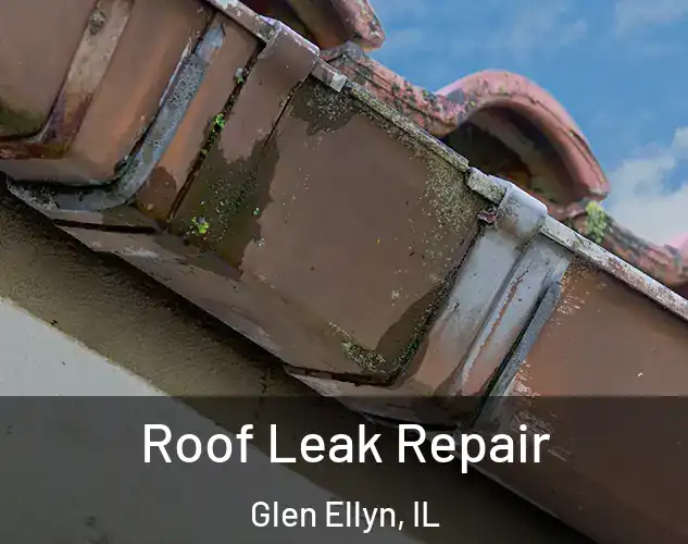  Roof Leak Repair Glen Ellyn, IL