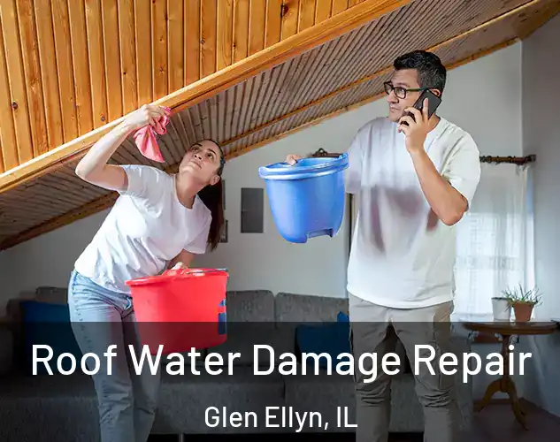  Roof Water Damage Repair Glen Ellyn, IL