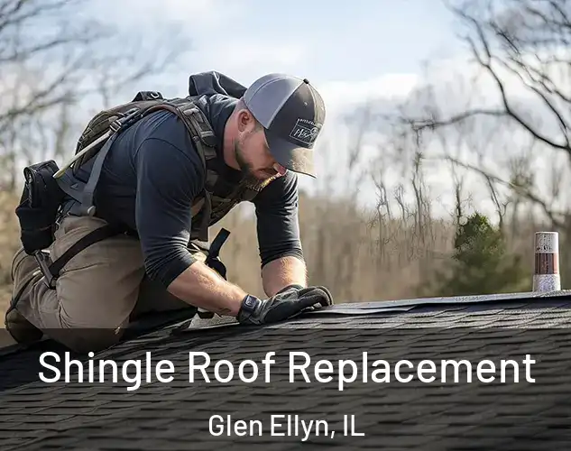  Shingle Roof Replacement Glen Ellyn, IL