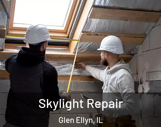  Skylight Repair Glen Ellyn, IL